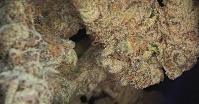 cake crasher by 710 labs strain review by cali_bud_reviews