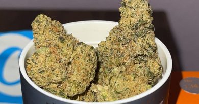 calm 134 by canndescent strain review by cali_bud_reviews