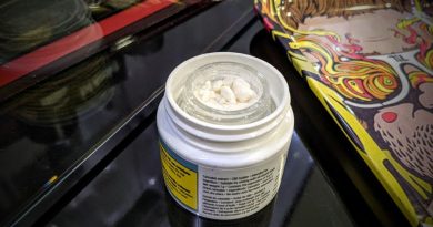 cbd isolate by sundial cannabis concentrate review by terple grapes