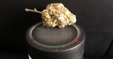 cereal milk by amplified farms strain review by caleb chen