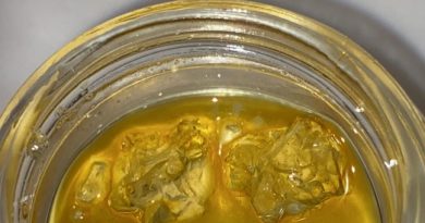 dark knight live resin by mpx concentrate review by slumpysmokes