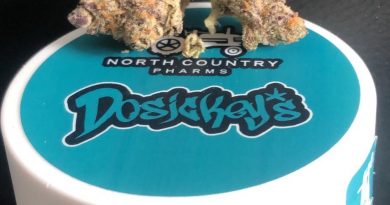 dosickey's by north country pharms strain review by caleb chen