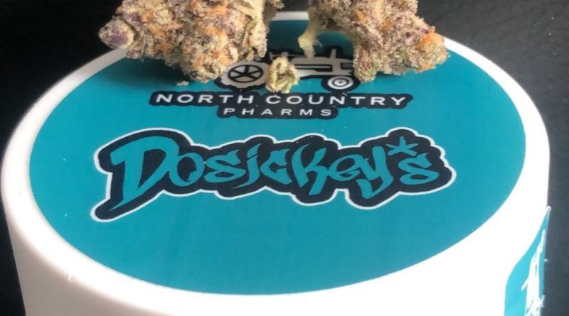 dosickey's by north country pharms strain review by caleb chen