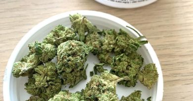 easy cheesy by liiv strain review by brandiisbaked