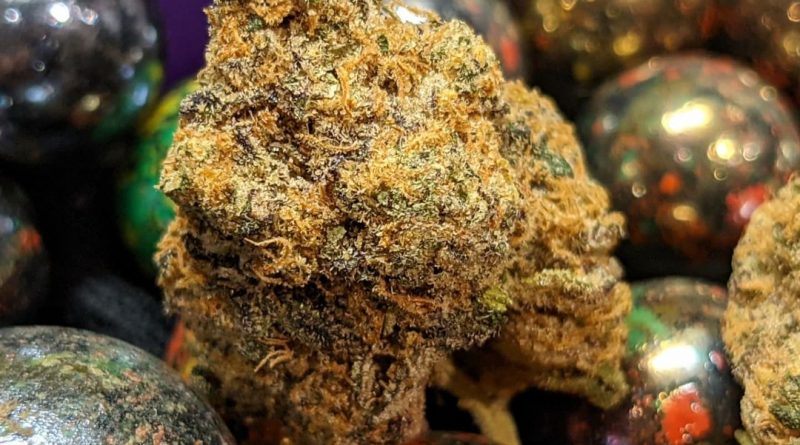 exotic gas by the loud plug strain review by terple grapes 2