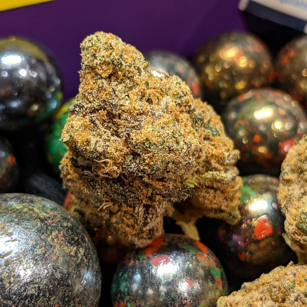 Strain Review Exotic Gas by The Loud Plug The Highest Critic Strain Review Exotic Gas by The Loud Plug The Highest Critic
