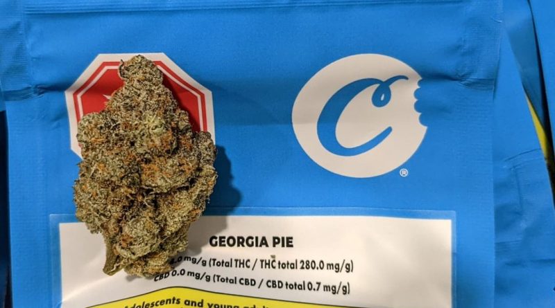 georgia pie by cookies x noya strain review by terple grapes