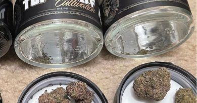 high-c by top shelf cultivation strain review by cali_bud_reviews
