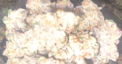high octane og by cam strain review by cali_bud_reviews