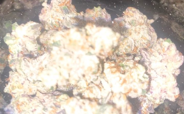high octane og by cam strain review by cali_bud_reviews
