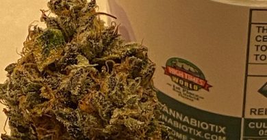 kush mountains by cannabiotix strain review by cali_bud_reviews