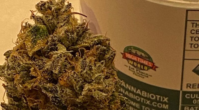 kush mountains by cannabiotix strain review by cali_bud_reviews