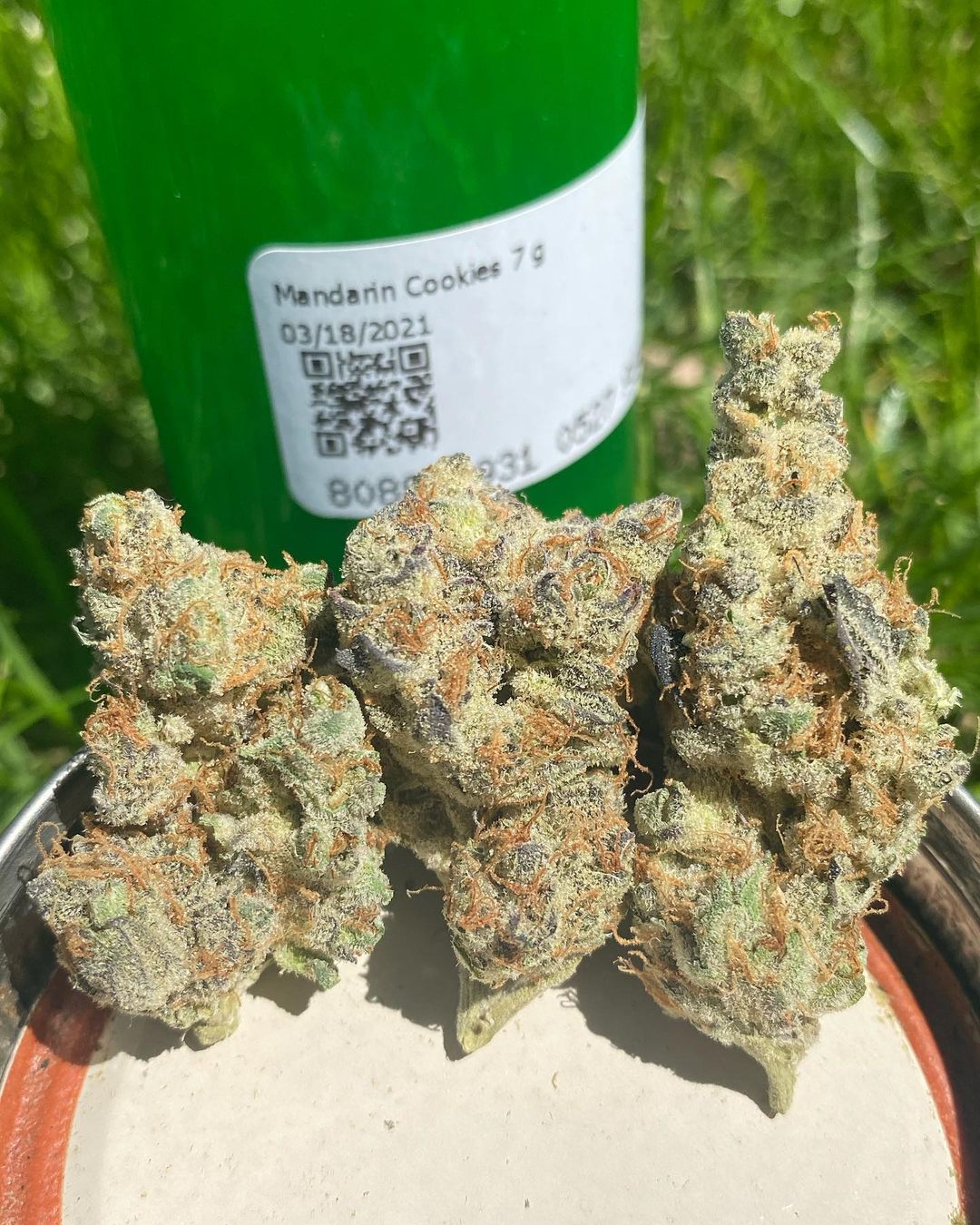 strain-review-mandarin-cookies-by-tierra-grow-the-highest-critic