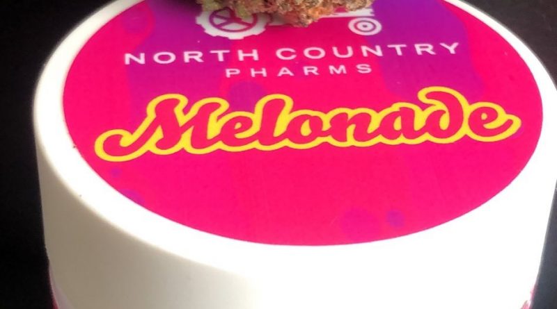 melonade by north country pharms strain review by caleb chen