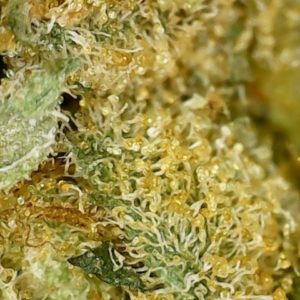 miigwetch by red market brand strain review by terple grapes