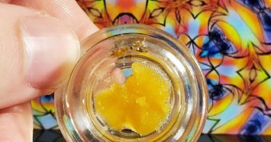 moby dick rosin by clinique mercedez concentrate review by sativa_daily_review
