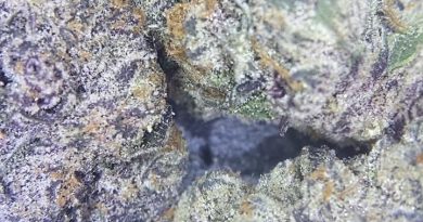 nightshade by connected california strain review by cali_bud_reviews