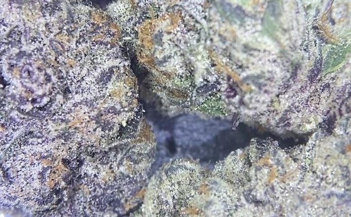 nightshade by connected california strain review by cali_bud_reviews