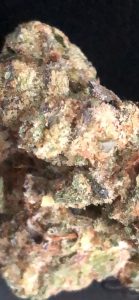 once is enough by amplified farms strain review by caleb chen macro