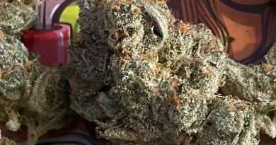 rainbow punch gelato rpg by cannabiotix strain review by cali_bud_reviews 2