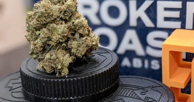 ruxton by broken coast cannabis strain review by terple grapes 2
