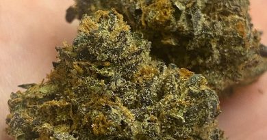 smarties by 710 labs strain review by cali_bud_reviews