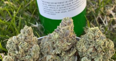 soul assassin by mohave cannabis co strain review by slumpysmokes