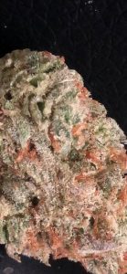 super sour diesel by amplified farms strain review by caleb chen macro