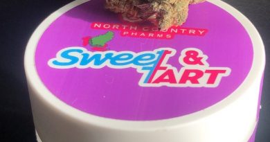 sweet & tart by north country pharms strain review by caleb chen