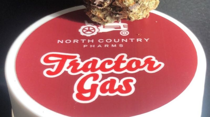 tractor gas by north country pharms strain review by caleb chen