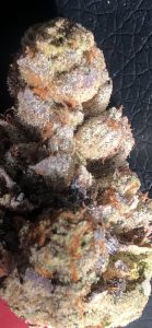 tractor gas by north country pharms strain review by caleb chen macro