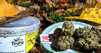 true og by truro strain review by terple grapes