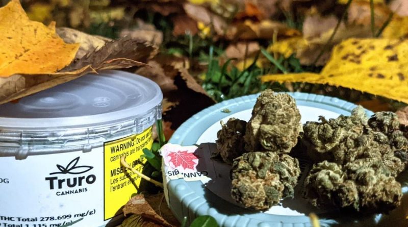 true og by truro strain review by terple grapes