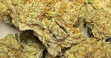 unruly og by blem x cali lotus strain review by cali_bud_reviews