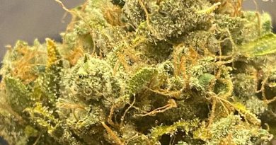 wi-fi og by cannabiotix strain review by cali_bud_reviews