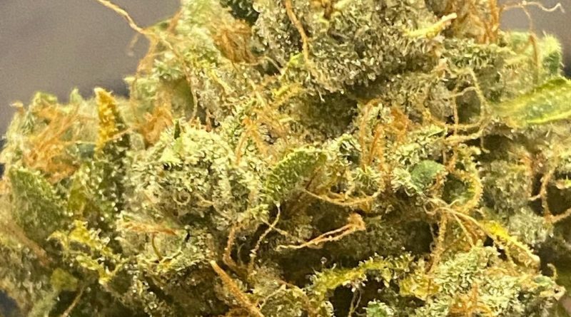 wi-fi og by cannabiotix strain review by cali_bud_reviews