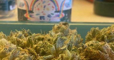 zereal milk by cannabiotix strain review by cali_bud_reviews 2
