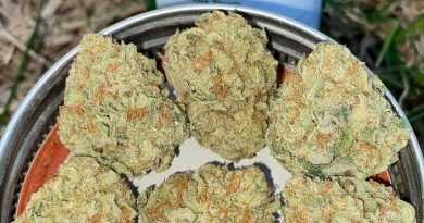 zkittlez cake by mohave cannabis co strain review by slumpysmokes