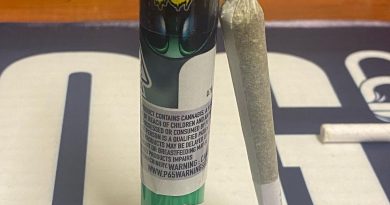 alien og pre-roll by the cure company pre-roll review by cali_bud_reviews