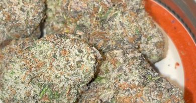 animal tree by green trap cannabis strain review by toptierterpsma