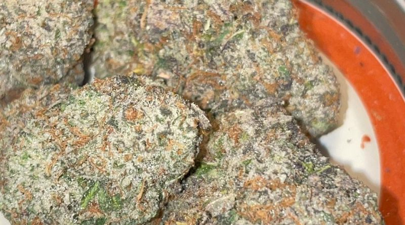 animal tree by green trap cannabis strain review by toptierterpsma