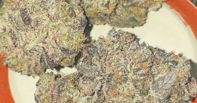 apple fritter by gaia farms strain review by toptierterpsma
