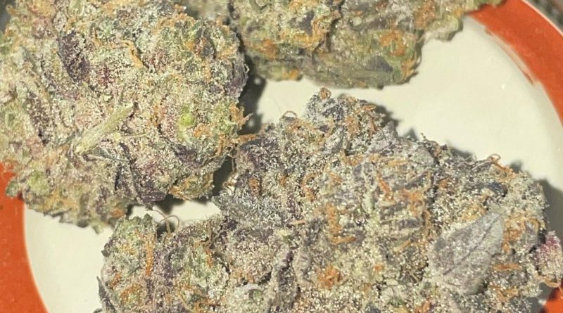 apple fritter by gaia farms strain review by toptierterpsma