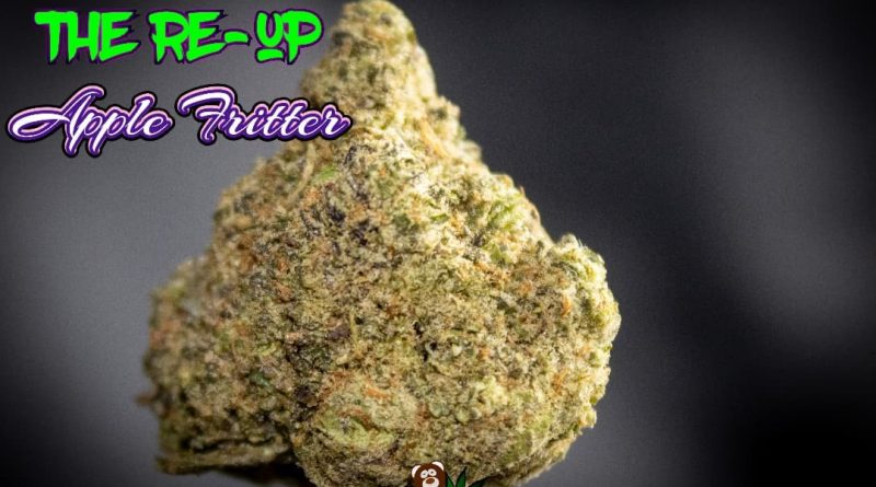 apple fritter by the reup strain review by stoneybearreviews 2