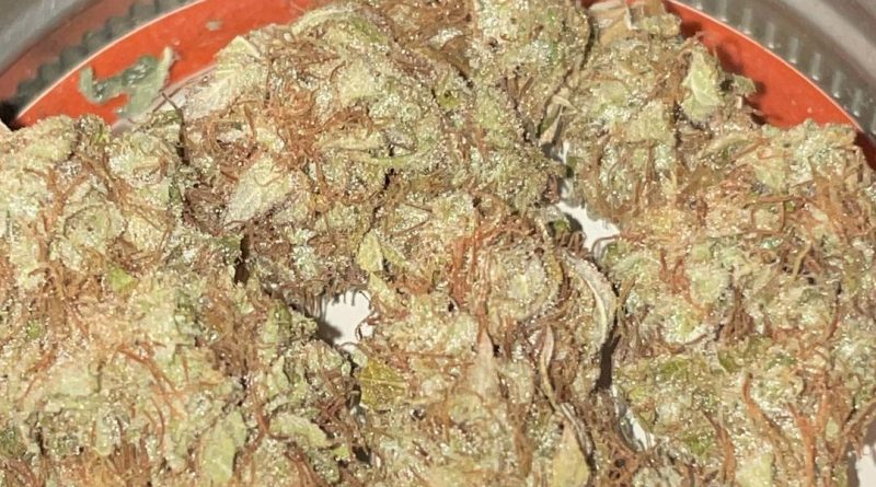 asshole chem strain review by toptierterpsma