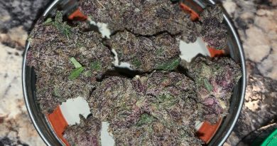 big chillz by rosebud growers strain review by pnw_chronic