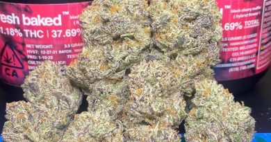 black cherry truffle by fresh baked strain review by cali_bud_reviews
