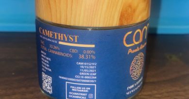 camethyst by cam strain review by cali_bud_reviews