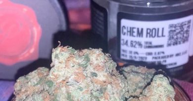 chem roll by panacea strain review by anna.smokes.canna