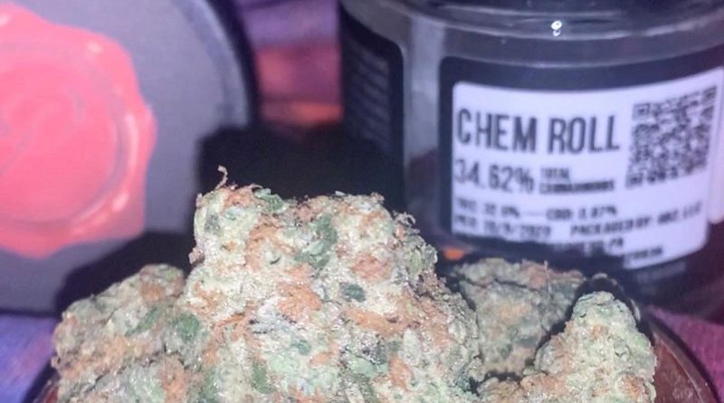 chem roll by panacea strain review by anna.smokes.canna